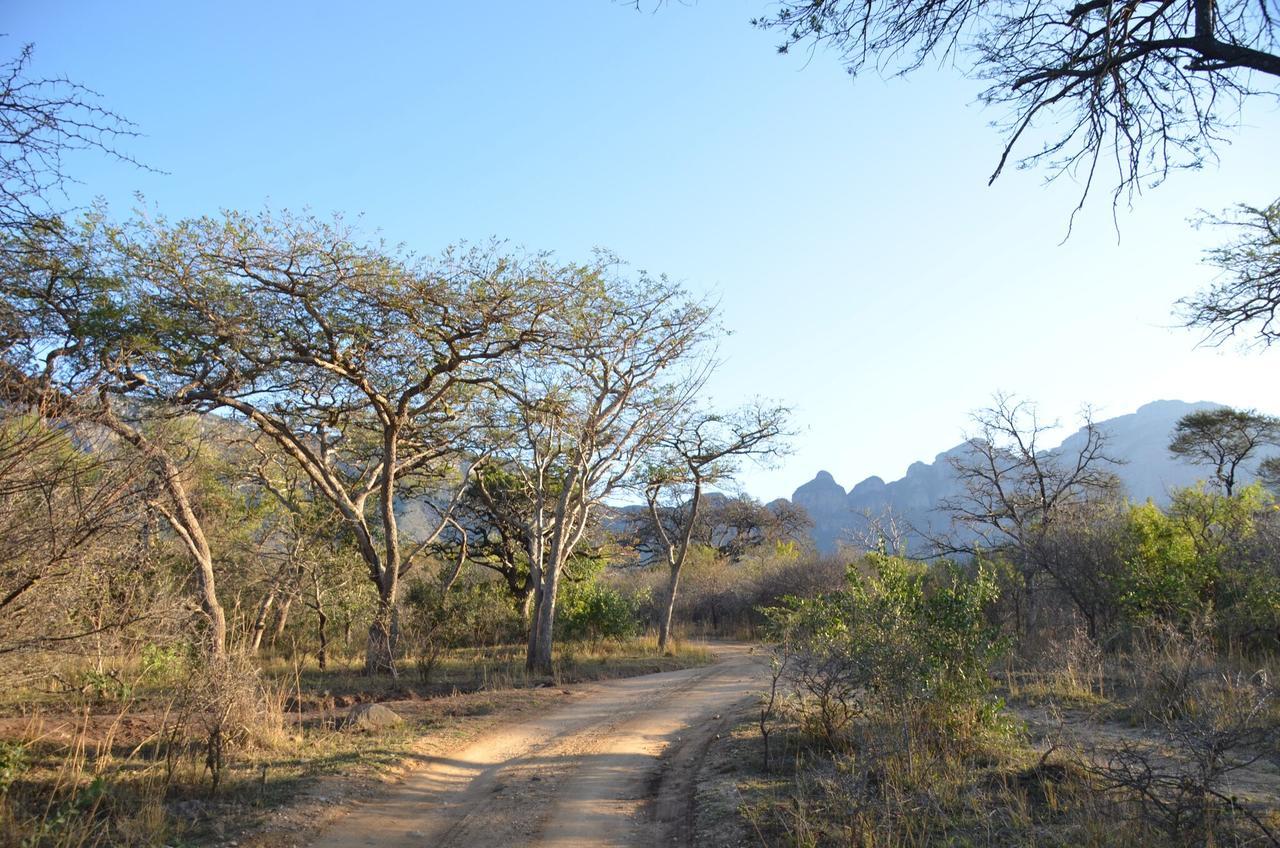 Moholoholo Forest Camp Hoedspruit Εξωτερικό φωτογραφία