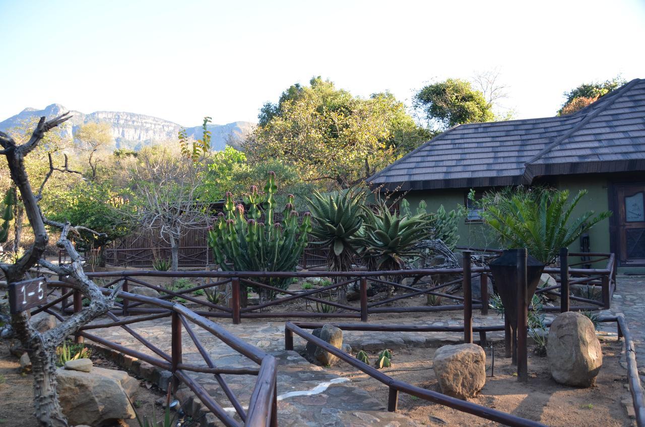 Moholoholo Forest Camp Hoedspruit Εξωτερικό φωτογραφία